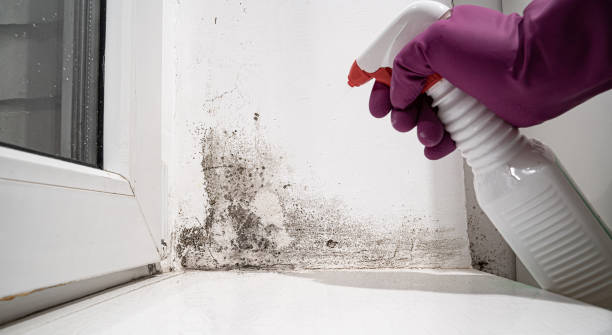 Water damage restoration experts in Menomonie, WI